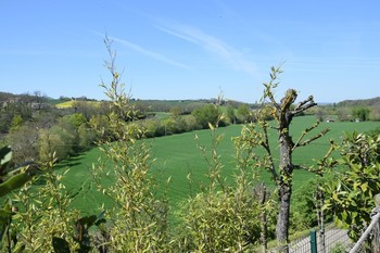Photo n° 20 de la location
