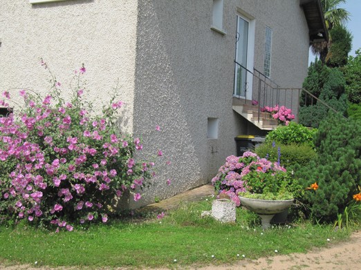 Image n° 1 de la location