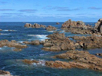 la cote d'ajoncs a plougrescant