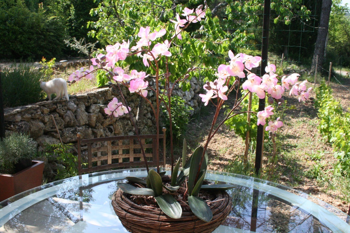 table sur terrasse du Gîte