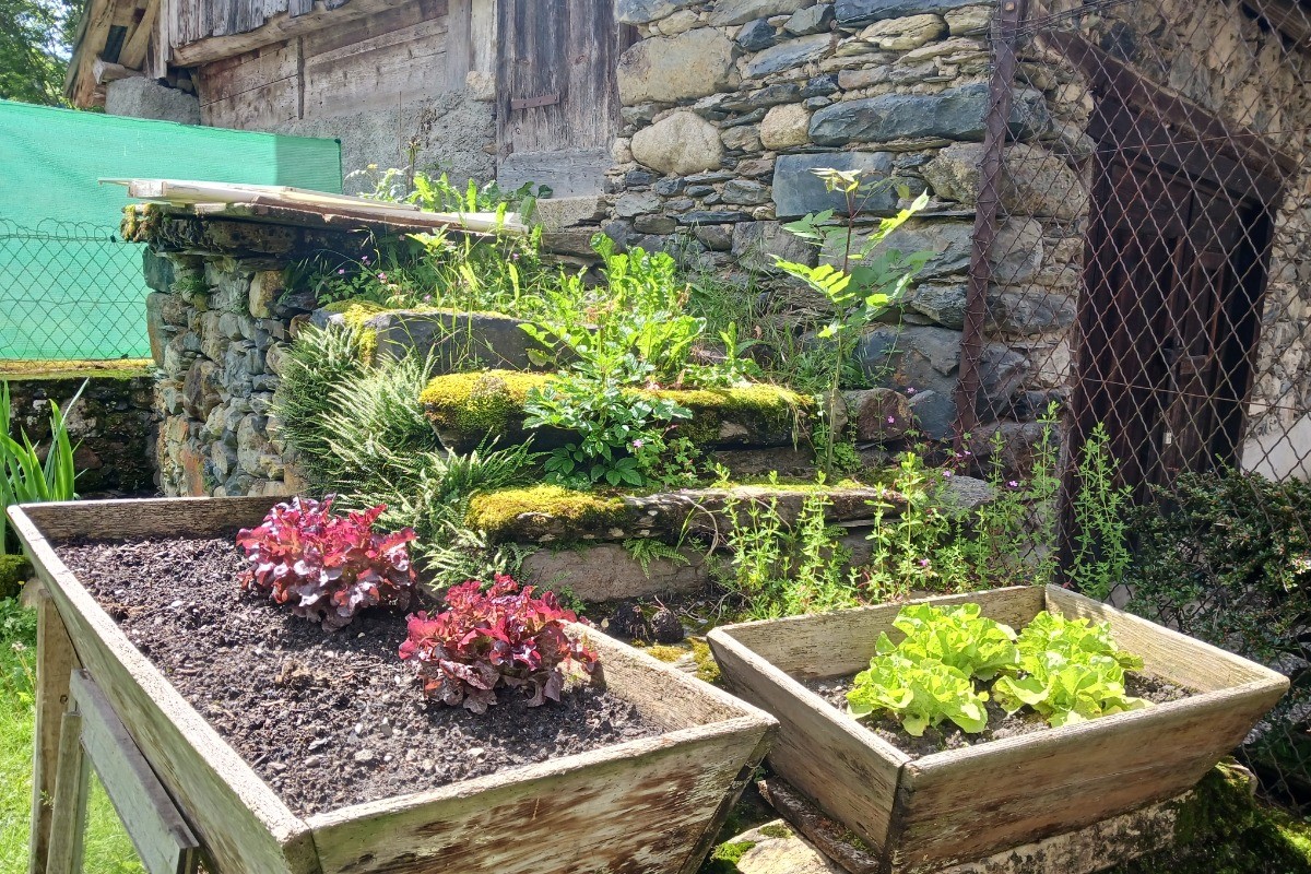 Potager