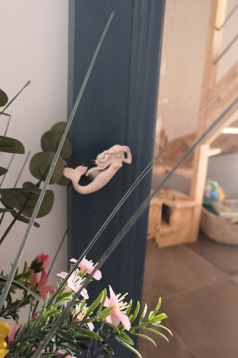 location 6 personnes, Clévacances, Saint-Cast le Guildo, sirène