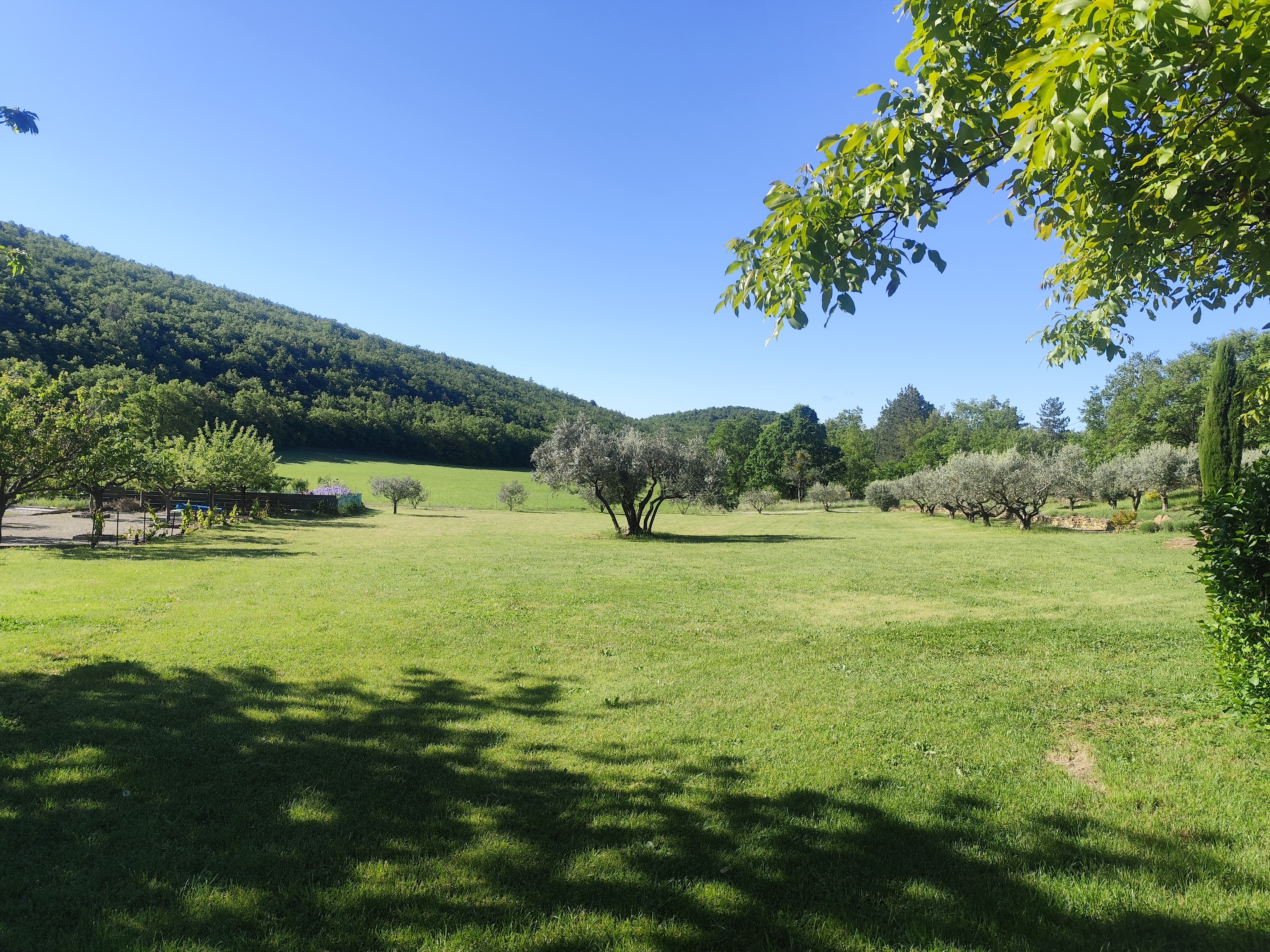 Photo n° 20 de la location