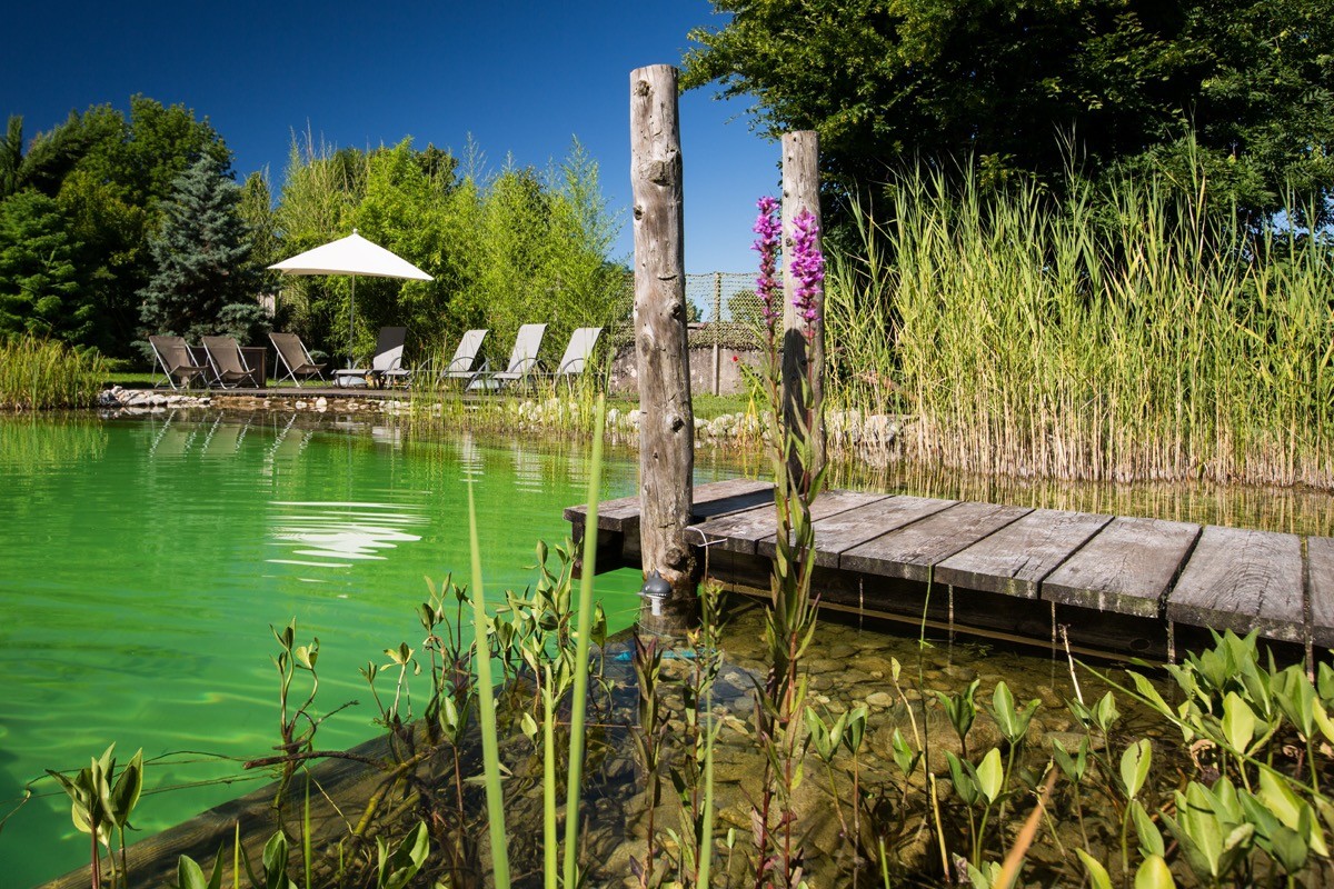 La Piscine naturelle