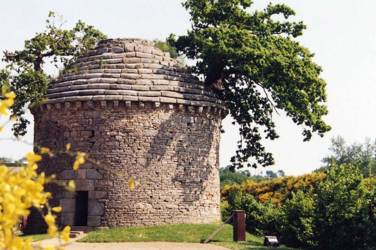 Chêne Bonzaï  ARMORIPARK Bégard