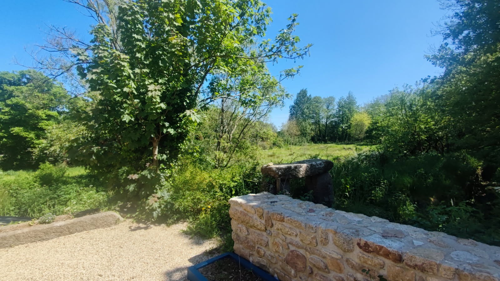 vue sur la prairie du gîte