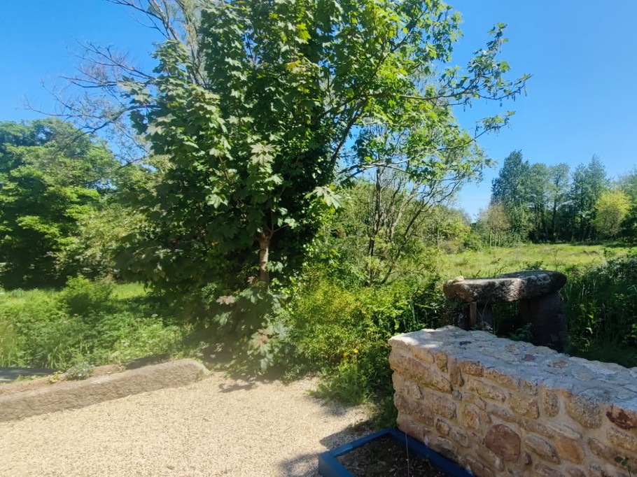 vue sur la prairie du gîte