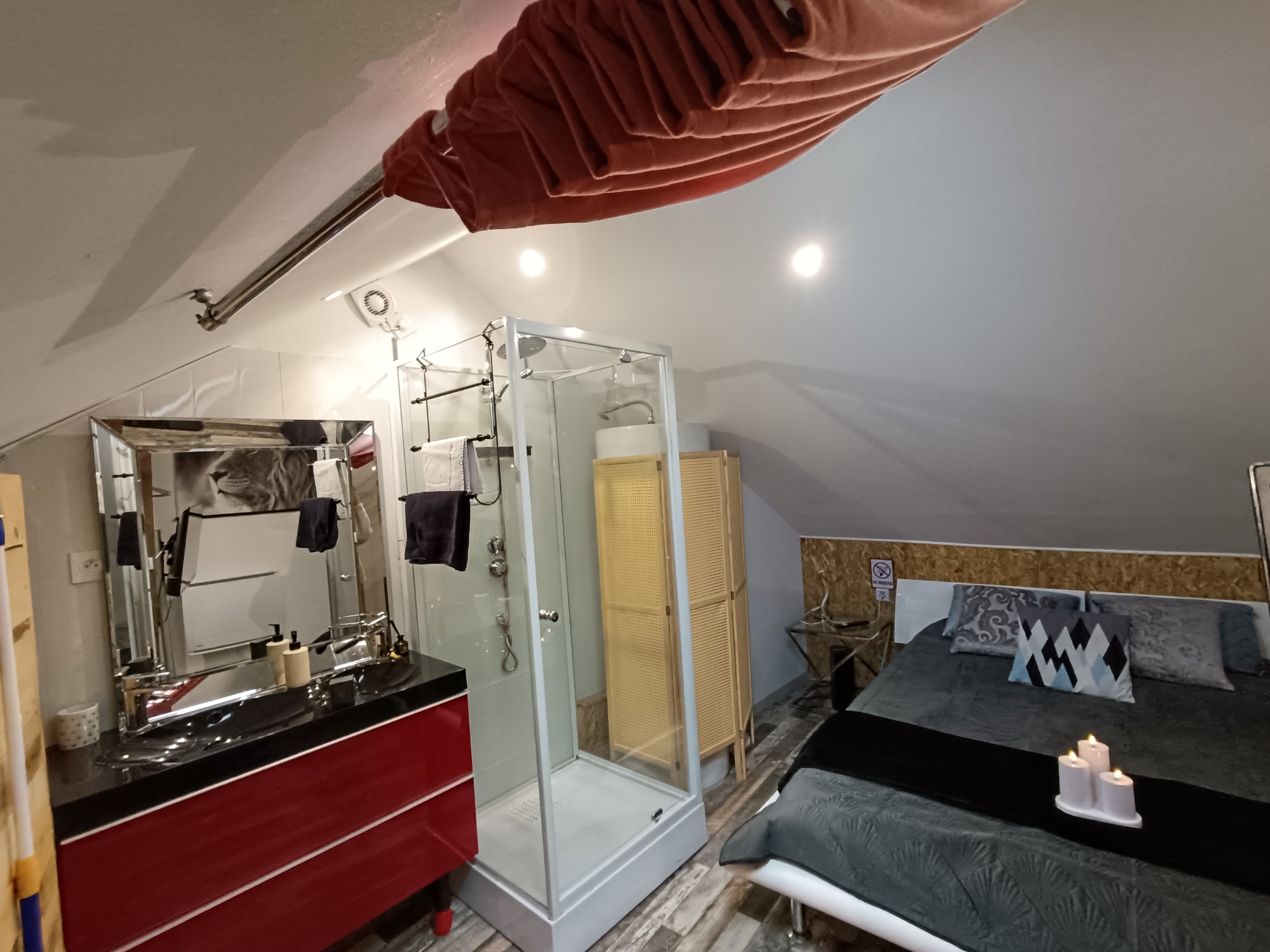 Bedroom and bathroom area