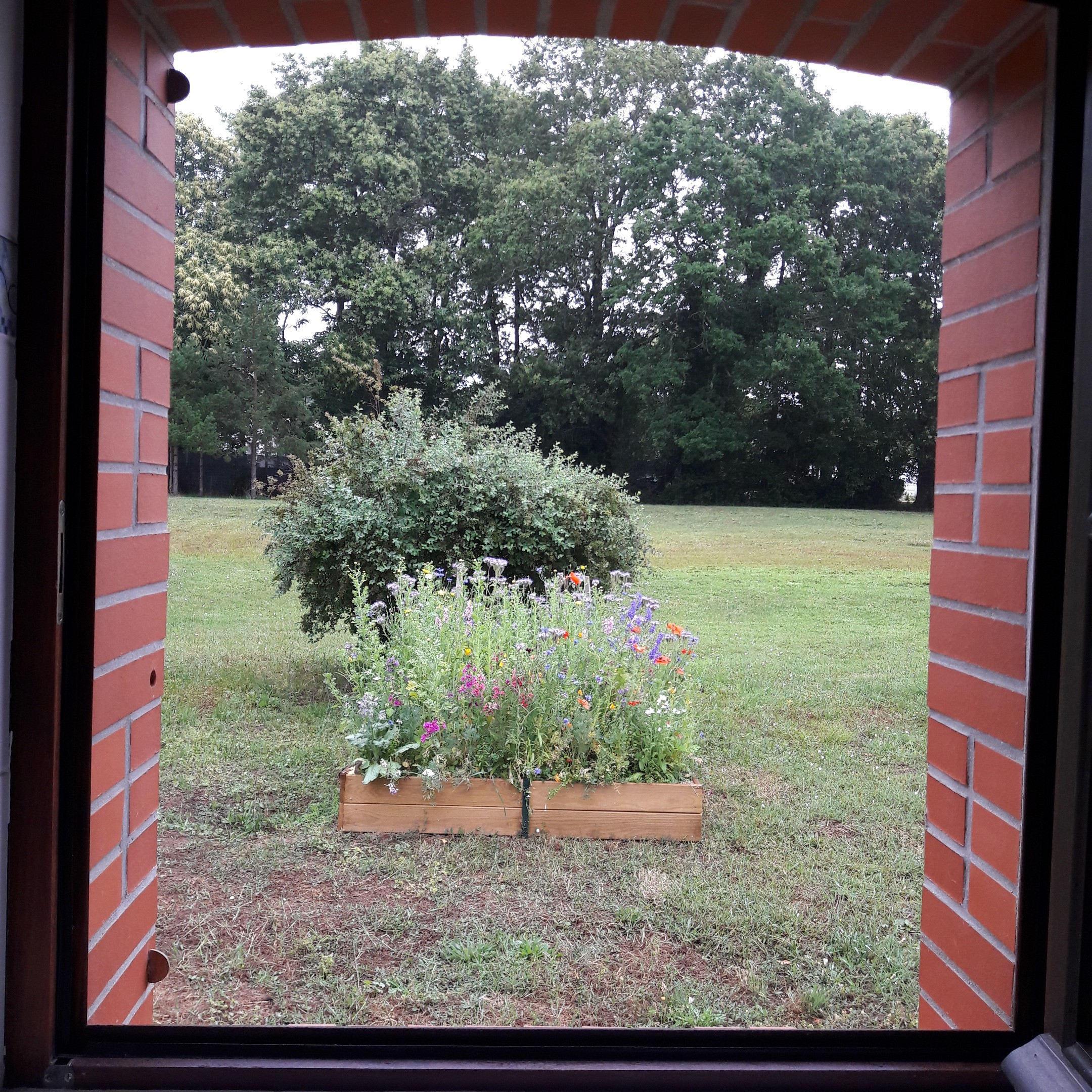 View from the bathroom