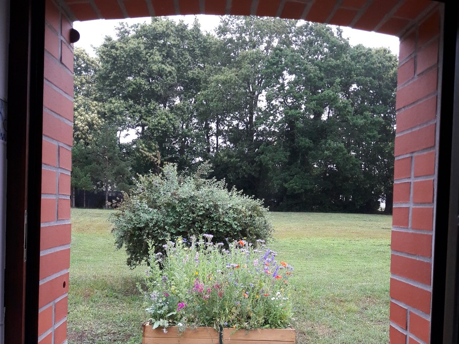View from the bathroom