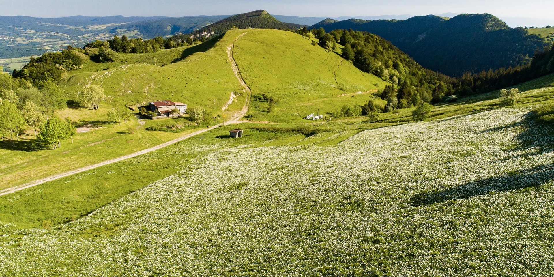 Grand Colombier in summer