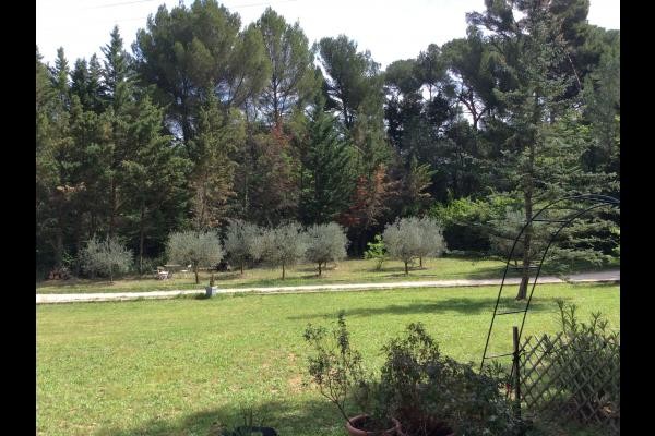 Photo n° 13 de la location