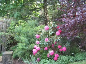 Photo n° 10 of the location