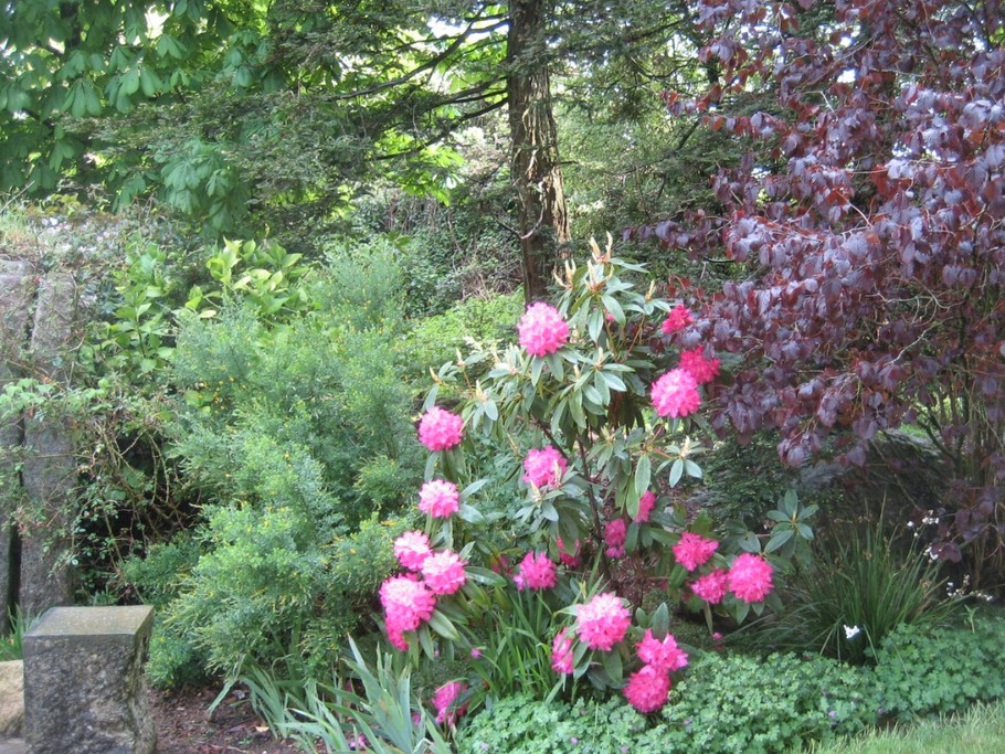 Photo n° 10 of the location