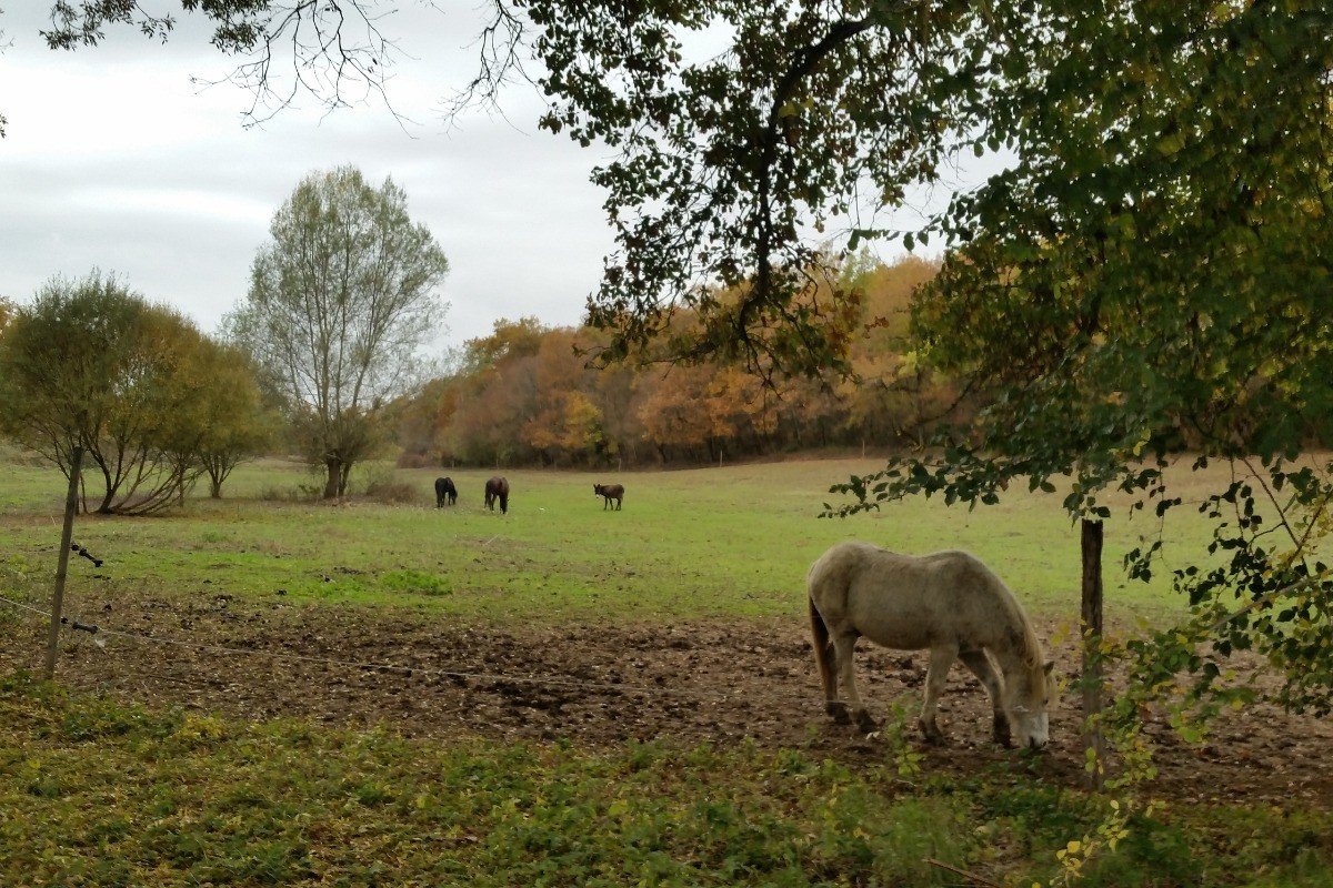 Photo n° 13 of the location