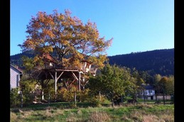 parthénope en automne (vue ouest)