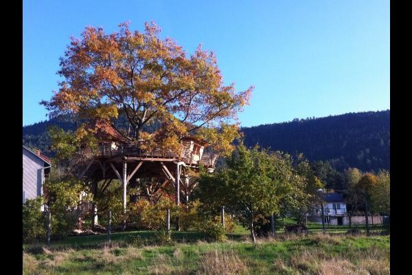 parthénope en automne (vue ouest)