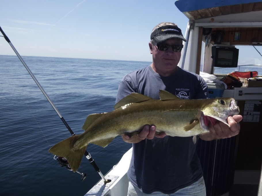 Photo n° 18 of the location