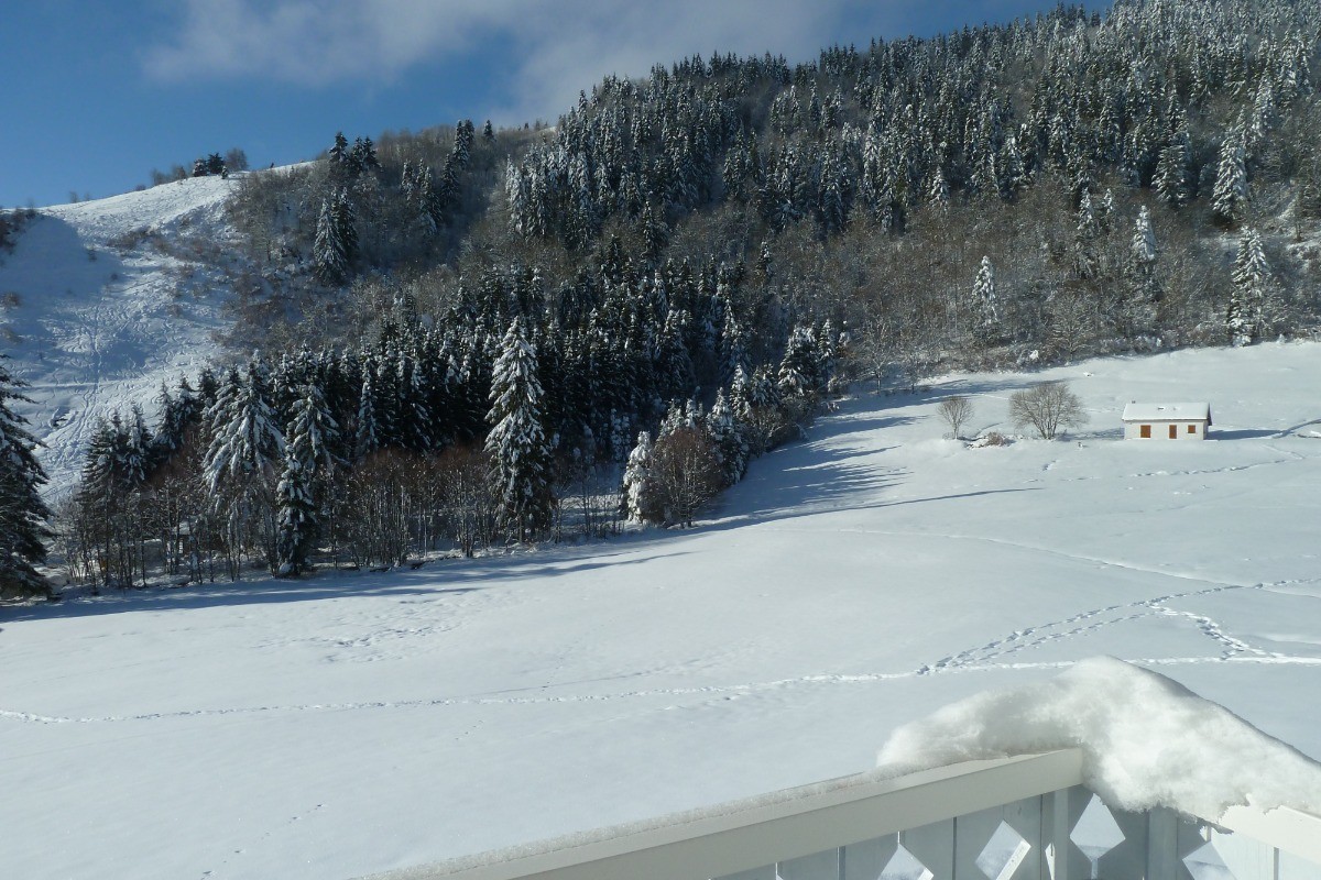 Vue depuis le balcon - Chalet le Podent à La Bresse