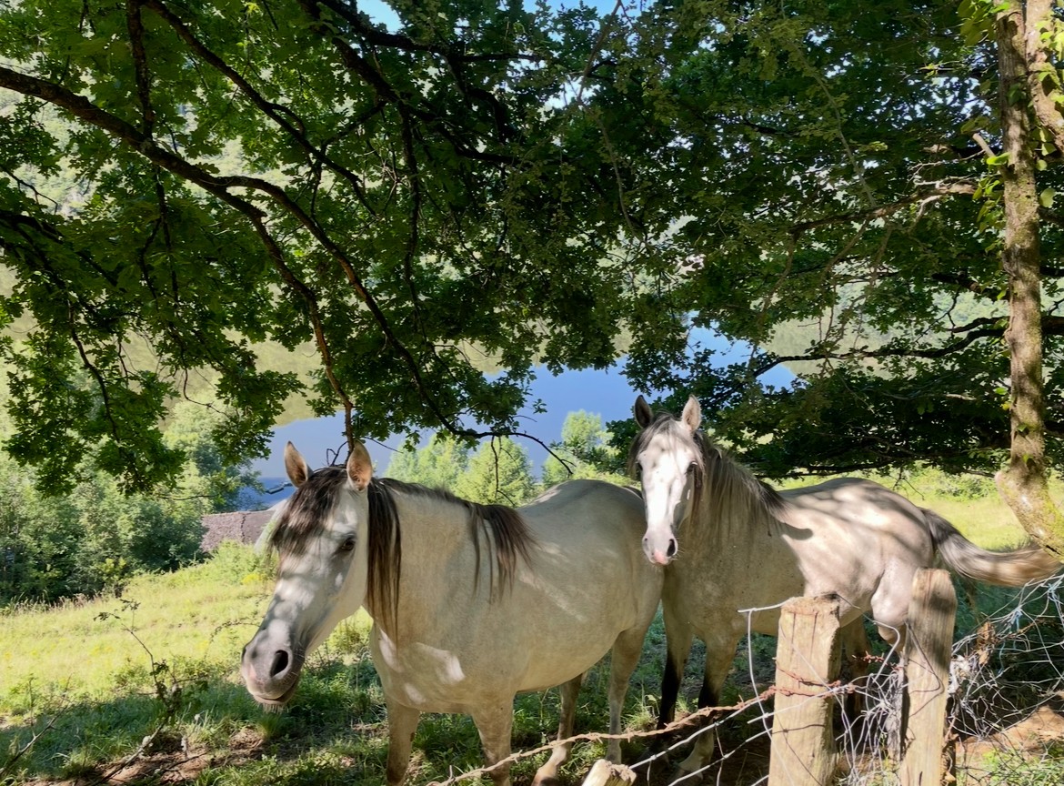 Photo n° 16 of the location