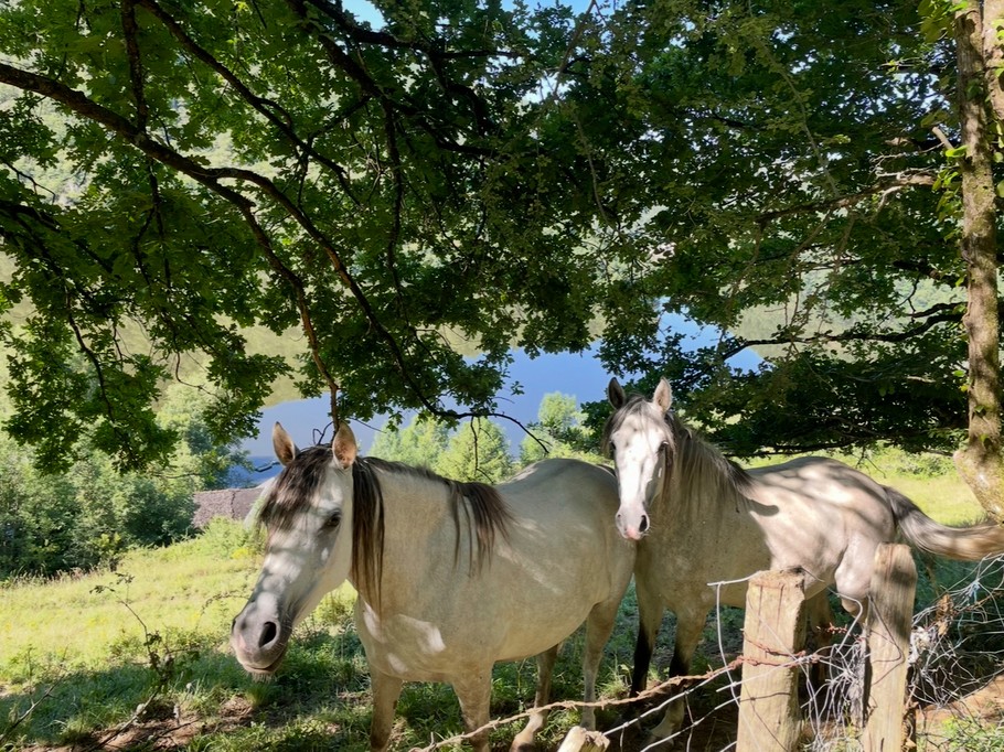 Photo n° 16 of the location