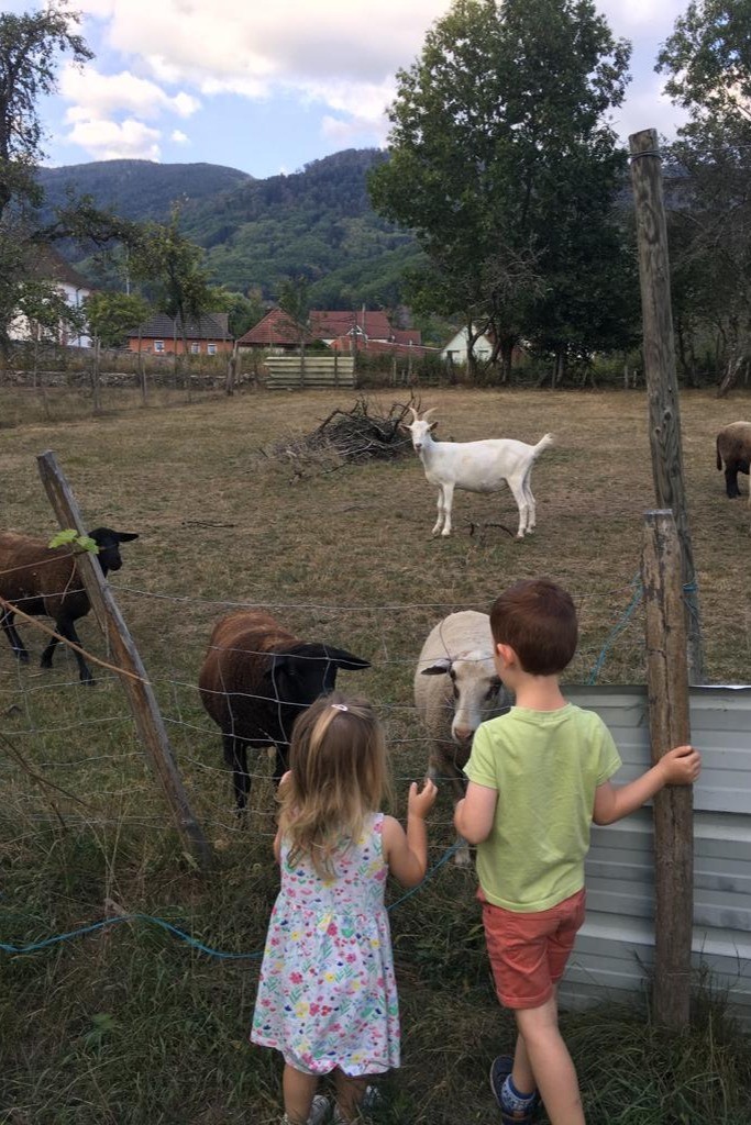 Photo n° 20 de la location