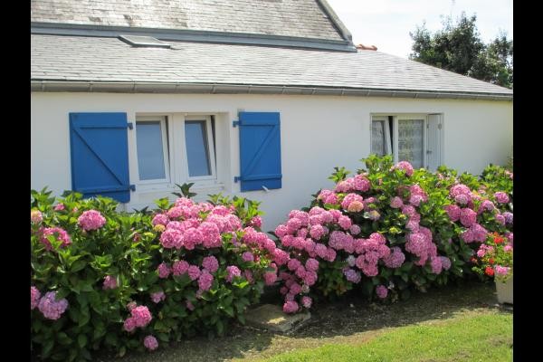 Photo n° 16 de la location