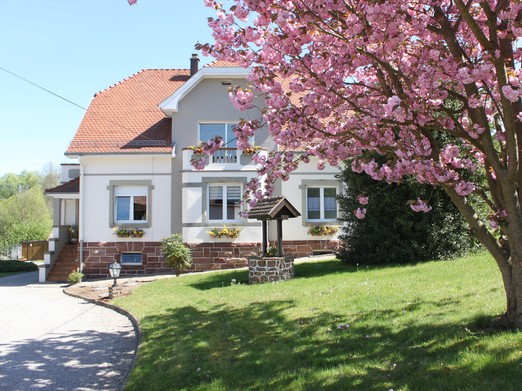 Image n° 1 de la location