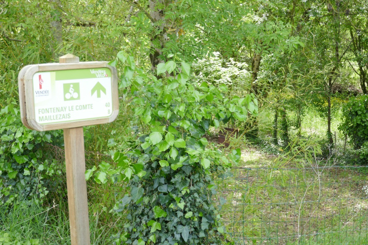Piste cyclable vers Maillezais et Fontenay le Comte