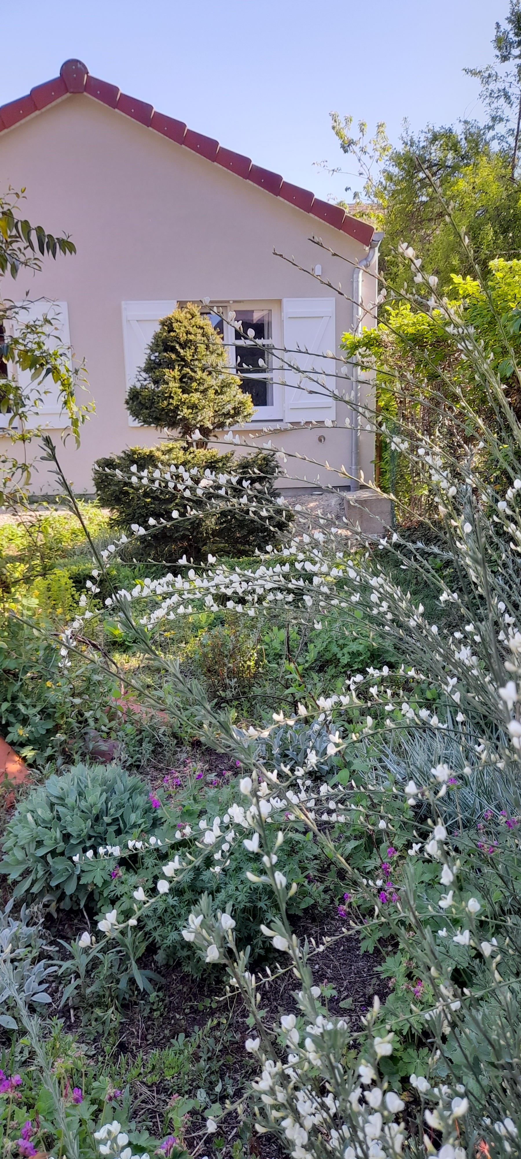 Photo n° 14 of the location