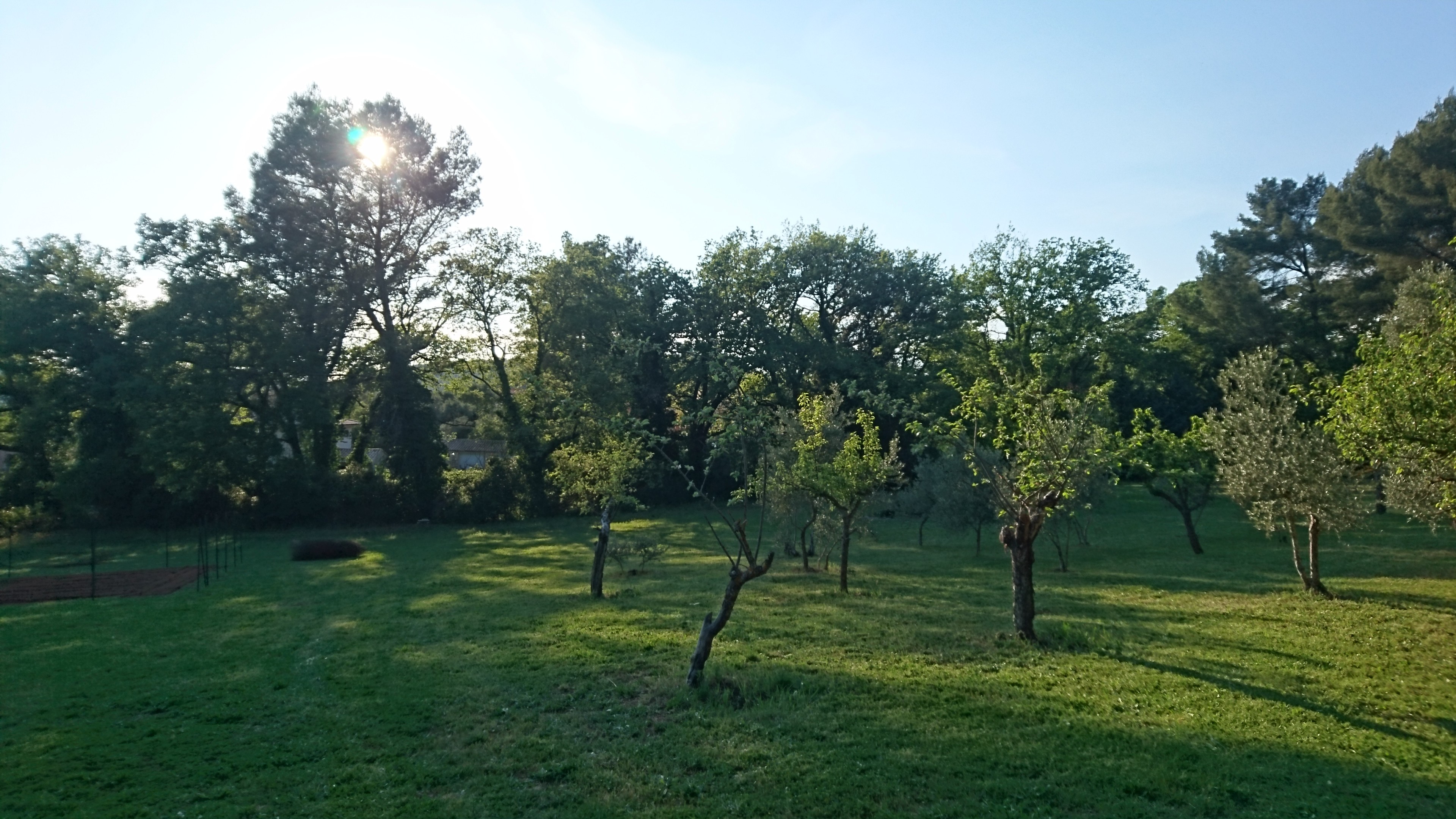 Photo n° 4 of the location