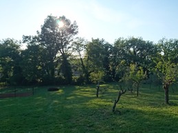 Image n° 4 de la location