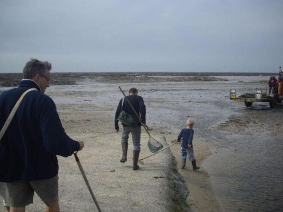 gouville sur mer, pêche à pied