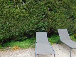 Image n° 5 de la location