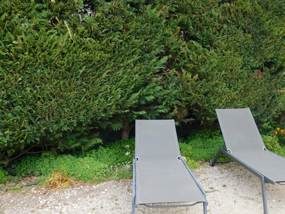 Photo n° 5 of the location