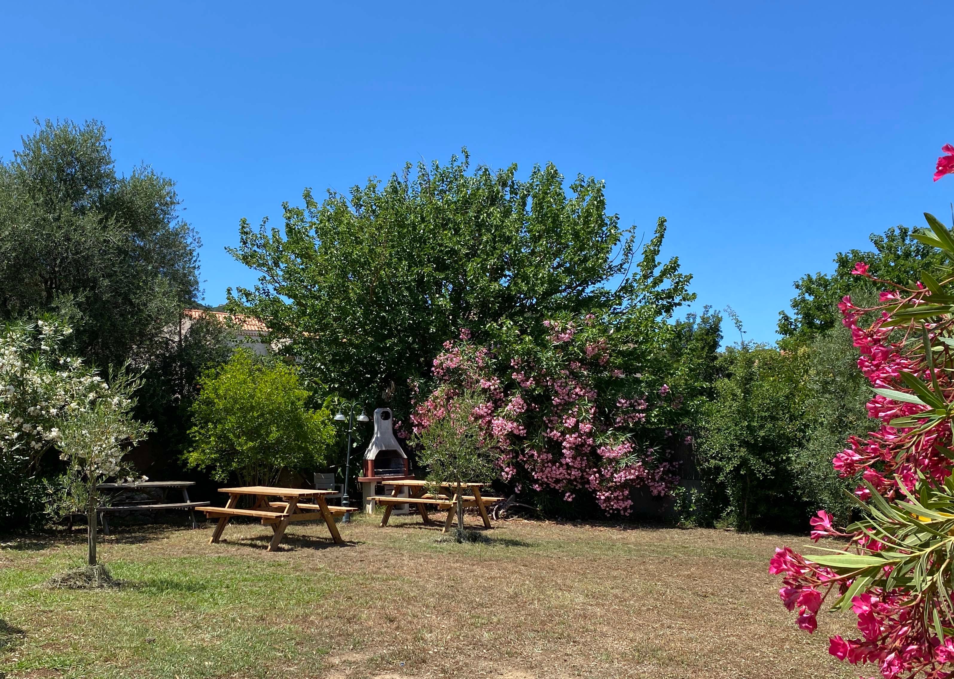 Image n° 1 de la location