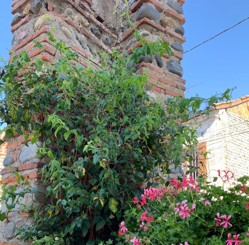 Photo n° 7 of the location