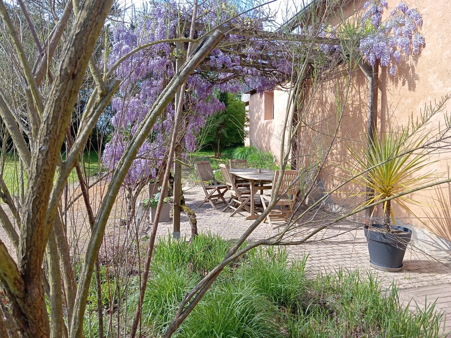 Photo n° 13 de la location