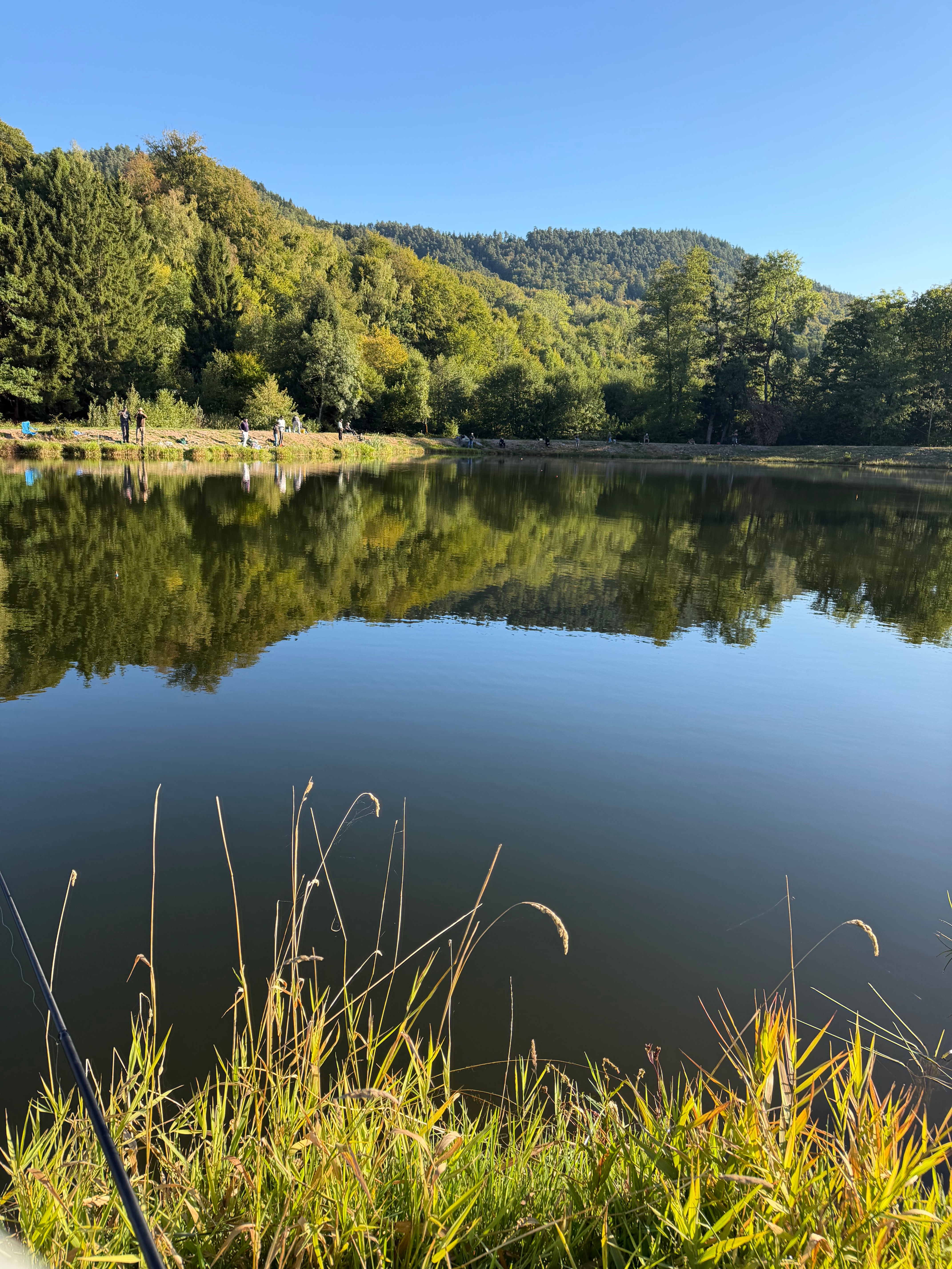 Étang de pêche à 8km
