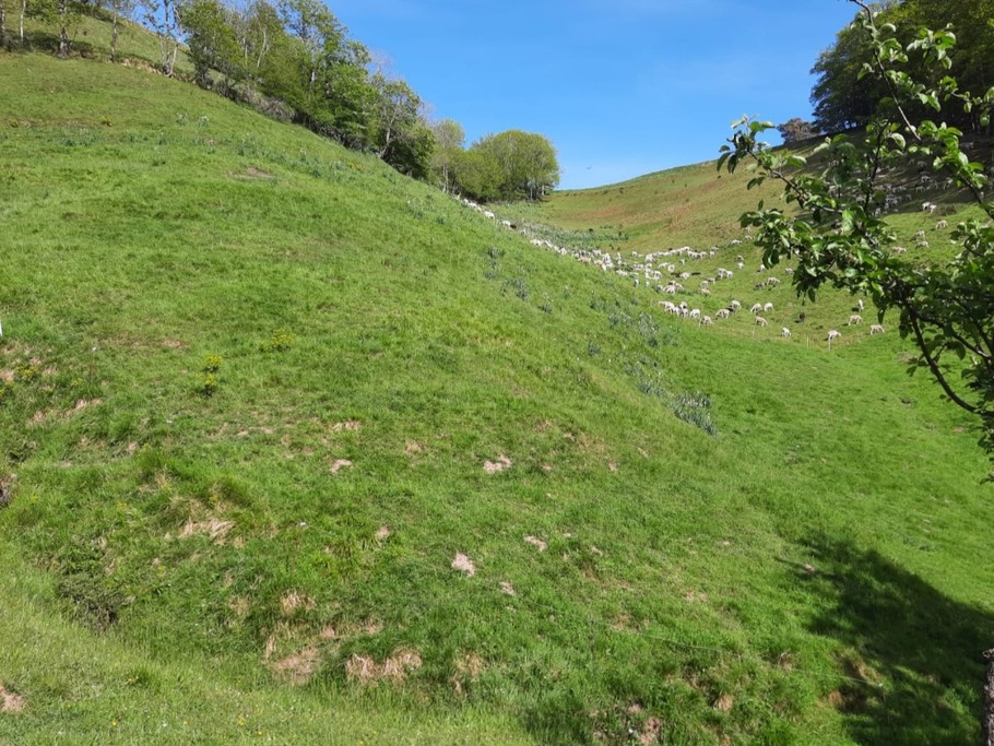 vue, à proximité de la maison