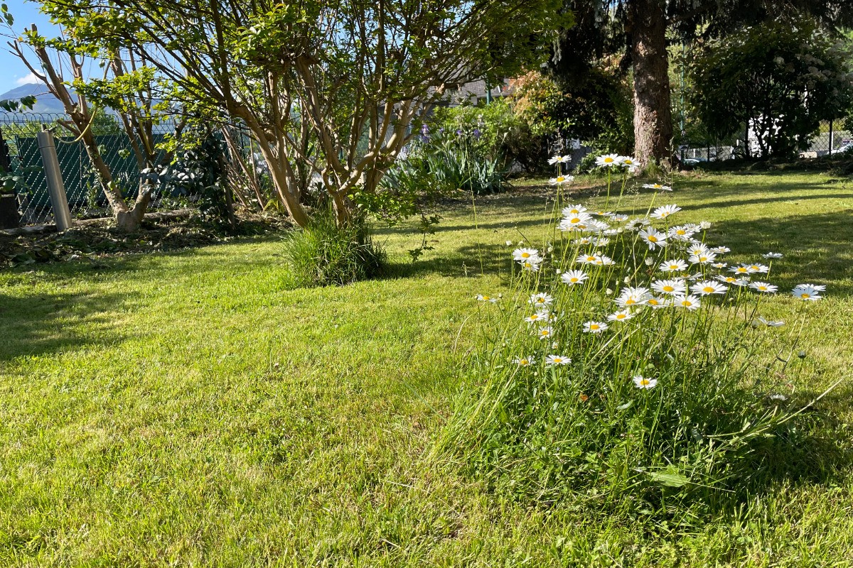 On apprécie le parc pour partager un moment