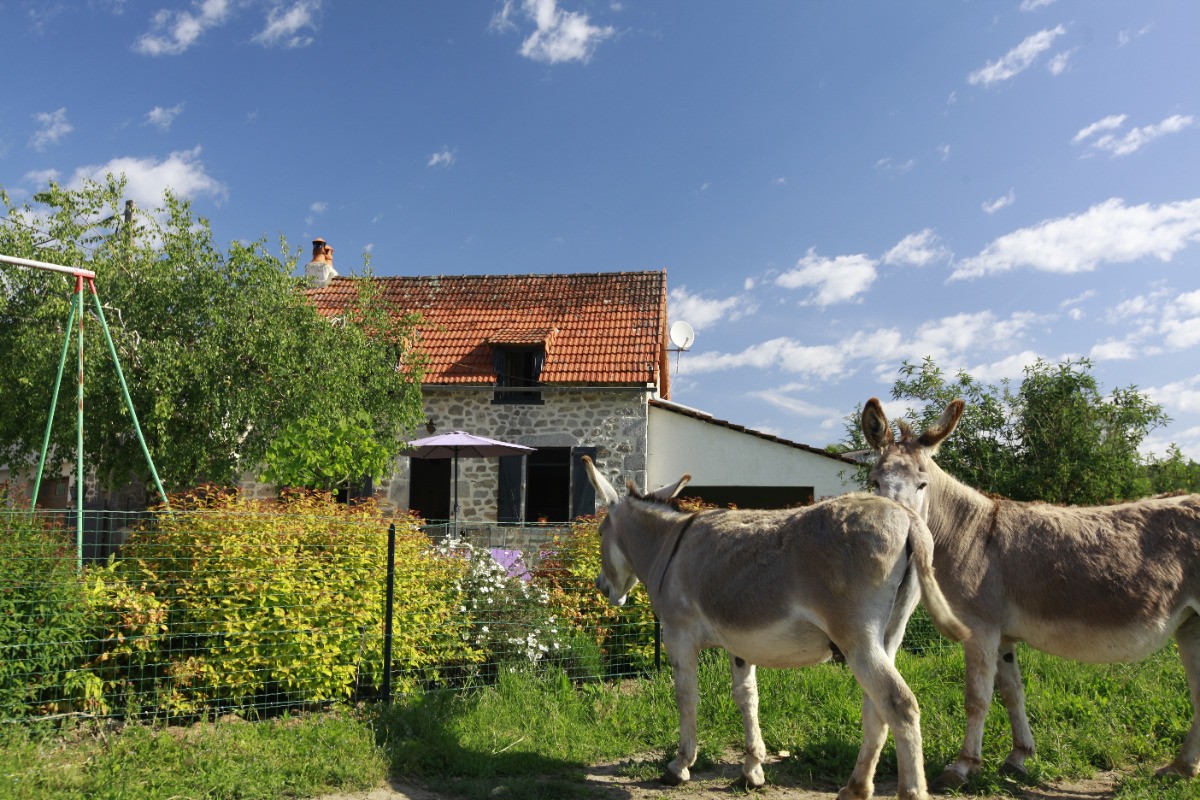 Photo n° 9 de la location