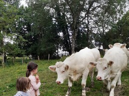 Visite des animaux de la ferme au Gite Entre Terres et Vignes à Châtillon sur Morin en Champagne