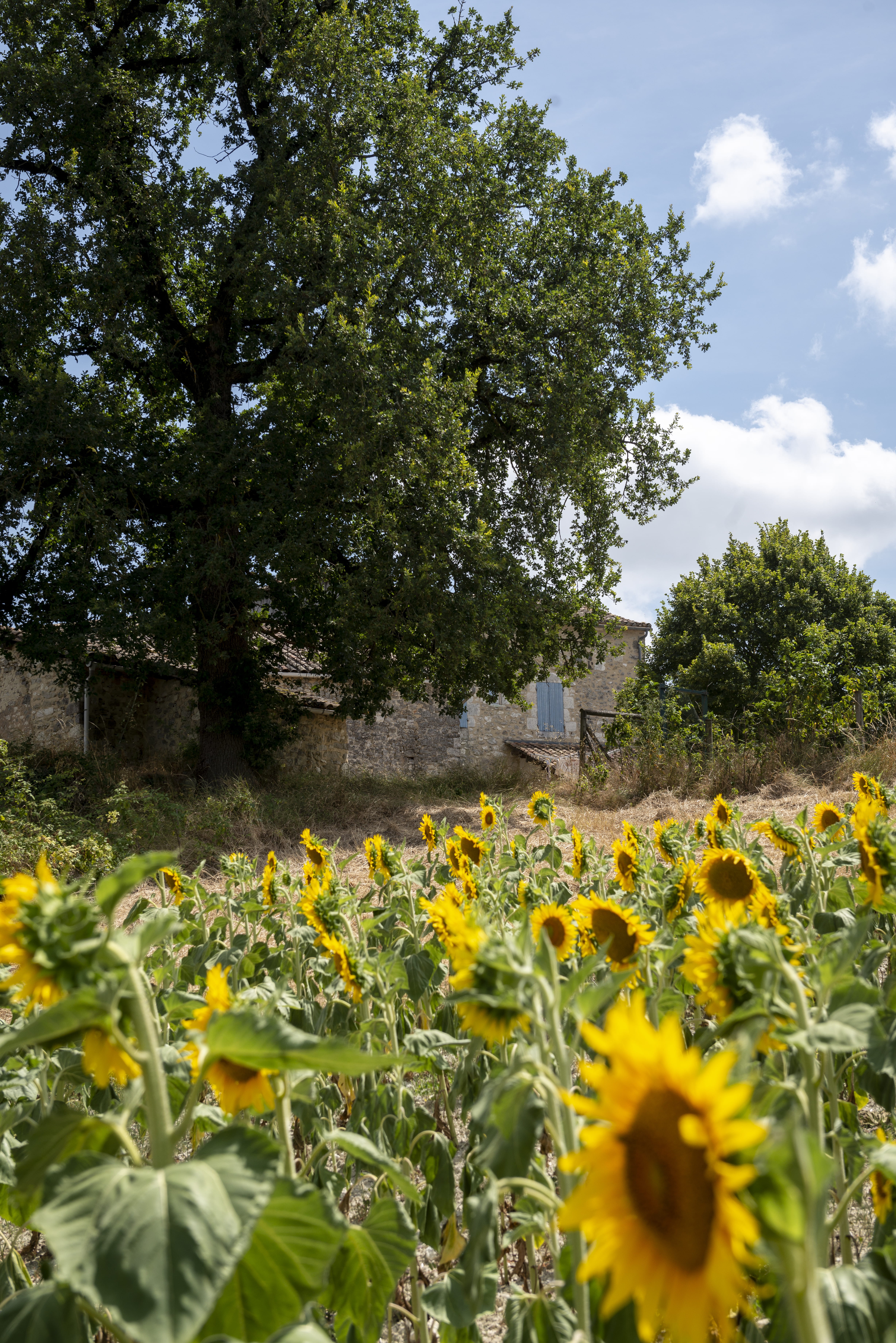 Photo n° 7 of the location