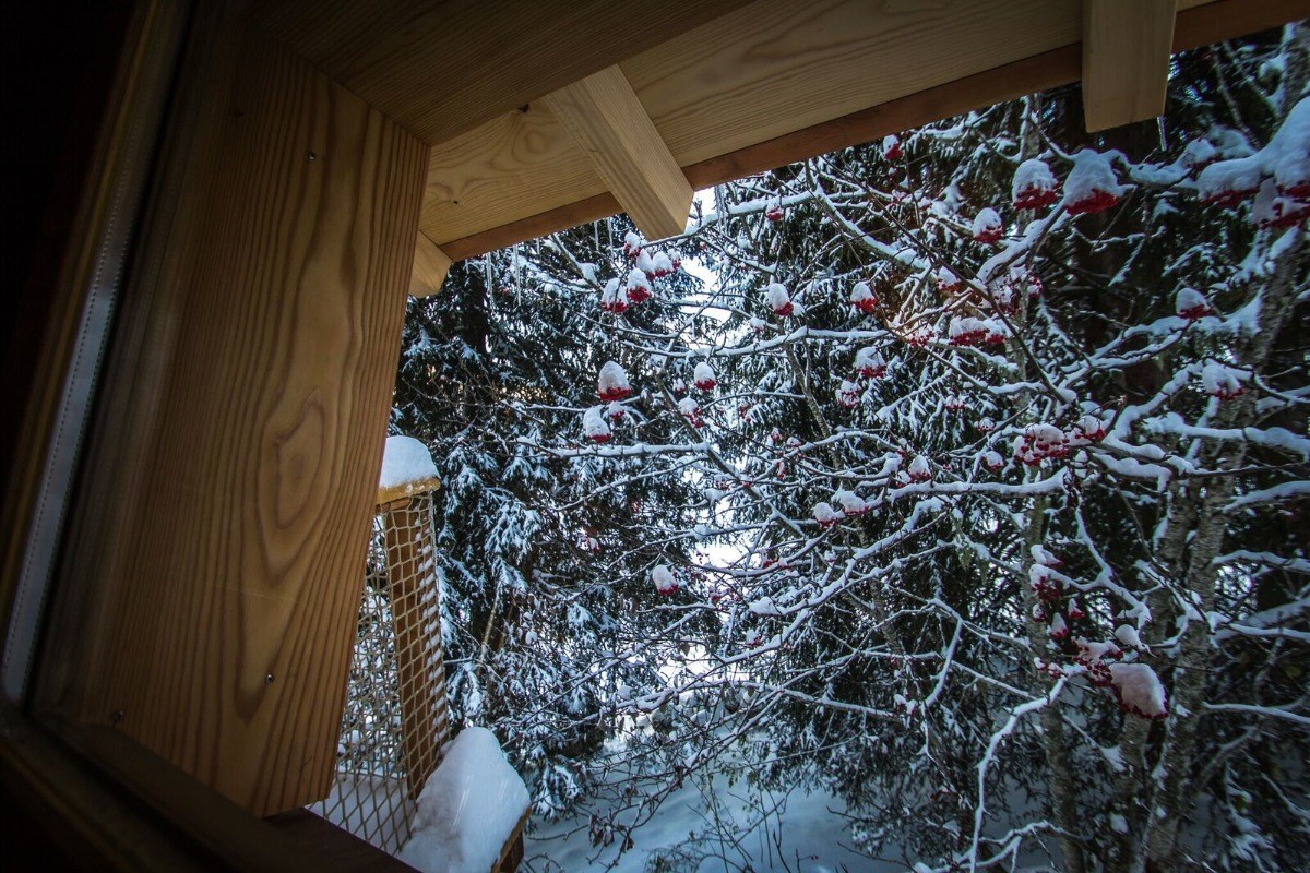 Cabane Chartreuse insolite "la Bordée"