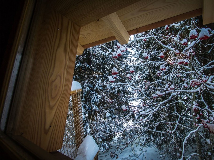 Cabane Chartreuse insolite "la Bordée"