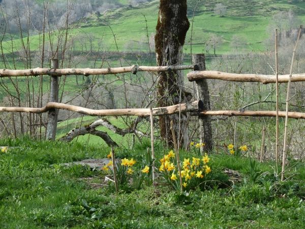 jardin