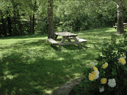 Image n° 5 de la location