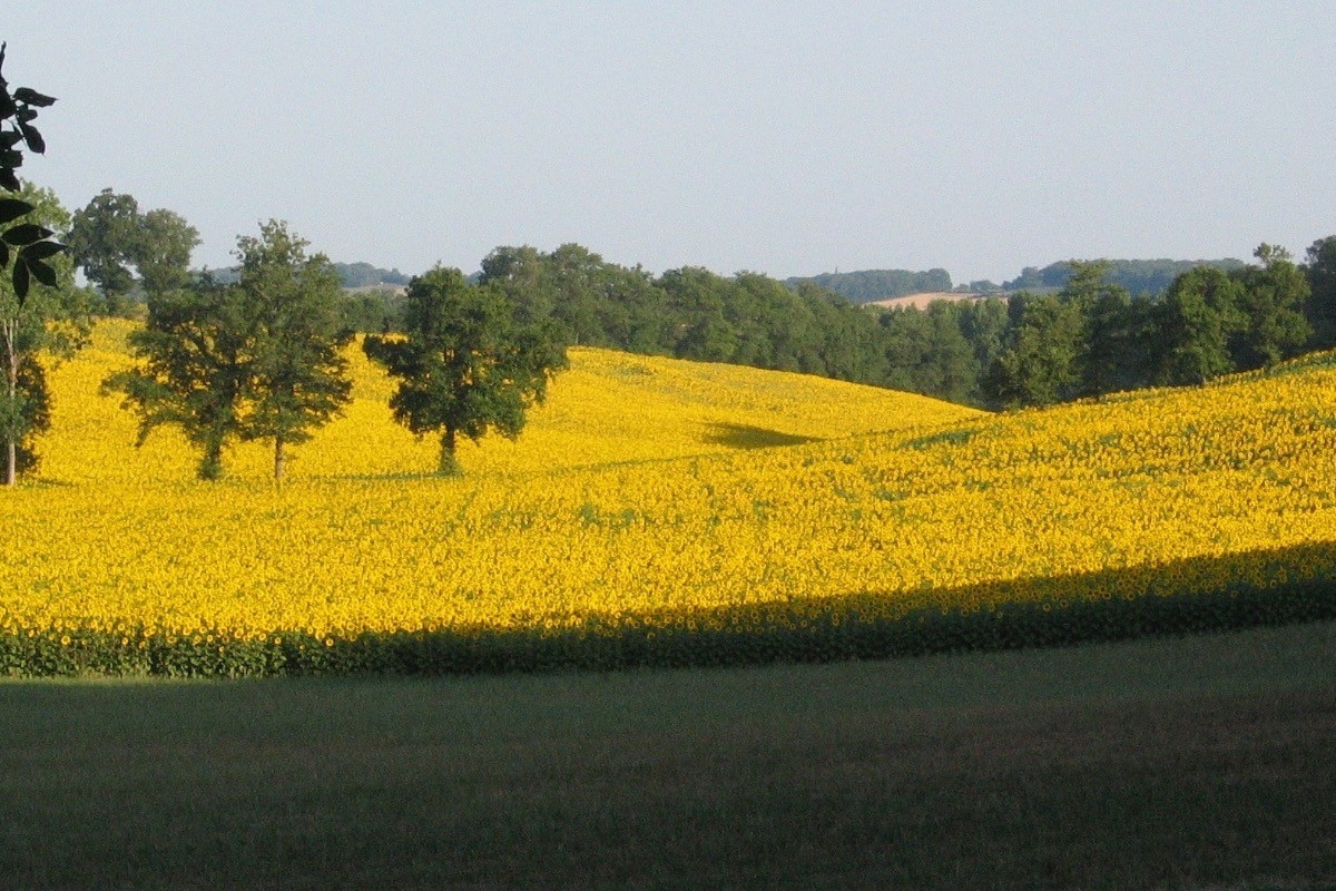 Vue de la terrasse