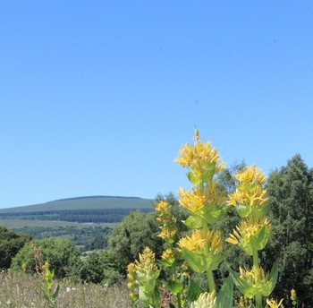 Photo n° 19 of the location